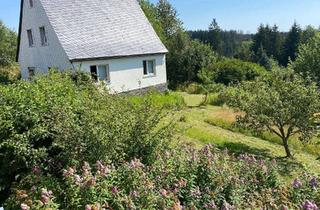 Einfamilienhaus kaufen in 96365 Nordhalben, freistehendes EFH +Bauplatz + weitläufigen Wald- Wiesenanteil, einzigartige Gelegenheit