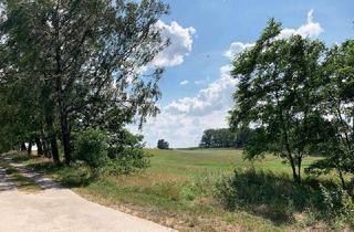 Grundstück zu kaufen in 17321 Ramin, Großzügiges Baugrundstück in Hohenfelde (Ramin) bei Stettin