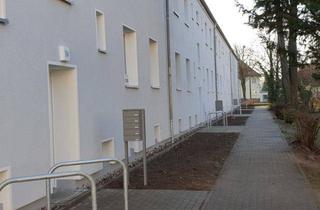 Wohnung mieten in Gördenallee 152, 14772 Brandenburg, Gemütliche 1-Raum-Wohnung sucht netten Nachmieter