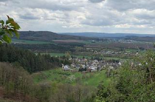 Einfamilienhaus kaufen in 54538 Bausendorf, Bausendorf - Leben wo andere Urlaub machen... provisionsfrei