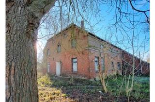 Bauernhaus kaufen in 26969 Butjadingen, Butjadingen - Bauernhof mit Weideland in Butjading