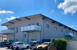 Wohnung mieten in An Der Bleiche 12a, 55234 Bechtolsheim, 2-Zimmer-EG-Wohnung mit geh. Innenausstattung und Terrasse