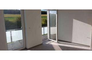 Wohnung mieten in 55232 Alzey, Neubau - Moderne 3-Zi.-Wohnung mit Balkon und TG für gehobene Ansprüche