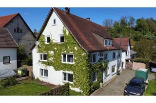 Haus kaufen in 89155 Erbach, Liebhaber Objekt mit ca. 1.900 m² Grundstück