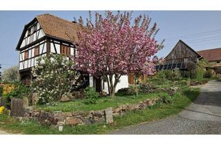 Haus mieten in 02627 Hochkirch, Schönes Fachwerkhaus in Hochkirch