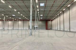 Gewerbeimmobilie mieten in 75057 Kürnbach, Nahe A6 | ca. 6.500 m² Lager-Logstikflächen | kurzfristig | Rampe
