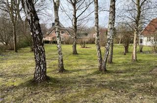 Grundstück zu kaufen in 18374 Zingst, Sehr schönes Baugrundstück in ruhiger Bestlage von Zingst!