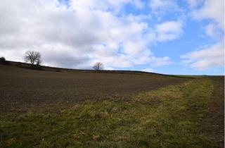 Grundstück zu kaufen in Gb, 94099 Ruhstorf, *** Landwirtschaftliche Flächen zum Verkauf *** gegen Gebot