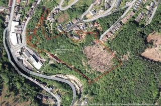 Grundstück zu kaufen in Rahmedestraße 1001, 58762 Altena, Nachauktion - 3,5 ha Waldgrundstücke in Altena