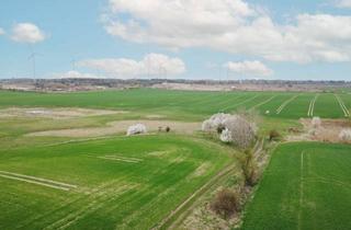 Grundstück zu kaufen in Bergsdorfer Weg, 16775 Gransee, Auktion am 19. Juni 2025 - 0,2 ha Ackerfläche