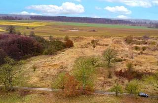 Grundstück zu kaufen in Straße Der Jugend, 19386 Passow, Auktion am 19. Juni 2025 - 0,7 ha Landwirtschaftsfläche