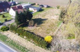 Grundstück zu kaufen in Mühlenstraße, 17166 Dahmen, Auktion am 19. Juni 2025 - Unbebautes Grundstück in landschaftlich reizvoller Lage