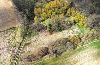 Grundstück zu kaufen in Straße Der Jugend 1001, 15306 Vierlinden, Auktion am 19. Juni 2025 - 0,6 ha Ackerfläche (ehemalige Deponie)