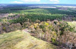 Grundstück zu kaufen in Bettelgrund, 15518 Briesen, Auktion am 19. Juni 2025 - 0,67 ha Waldgrundstück (ehemalige Deponie)