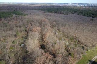 Grundstück zu kaufen in Templiner Straße, 16303 Schwedt, Auktion am 19. Juni 2025 - 1,6 ha Waldfläche mit Eichen und Schwarzerle in Schwedt