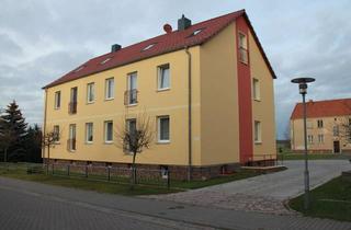 Wohnung mieten in Dorfstr. 30, 39356 Seggerde, Moderne Wohnung mit Balkon in gepflegtem, kernsaniertem kleinen Mehrfamilienhaus