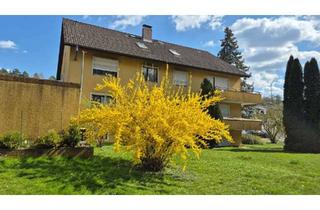 Wohnung mieten in 74722 Buchen, Renovierte Wohnung mit 2ZKB, SW-Balkon in Buchen - Hainstadt