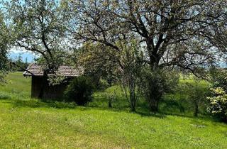 Wohnung mieten in 83129 Höslwang, wohnen wo andere Urlaub machen