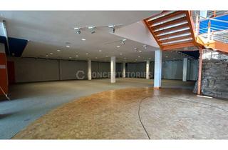 Immobilie mieten in 53119 Tannenbusch, Unikat! Fast 2.500 m² Gewerbefläche in der Bonner Nordstadt vakant