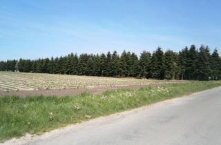Gewerbeimmobilie kaufen in 47669 Wachtendonk, 6974 m² Landwirtschaftliche Fläche