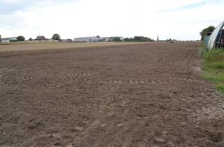 Gewerbeimmobilie kaufen in 47669 Wachtendonk, 6974 m² Landwirtschaftliche Fläche