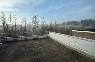 Wohnung kaufen in 38700 Braunlage, Braunlage - Charmante Terrassenwohnung mit großer Dachterrasse Harz Panoramic