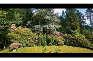 Haus kaufen in 32805 Horn-Bad Meinberg, Horn-Bad Meinberg - Haus am Waldpark im Kurgebit ,auf 2370qm Grundstück