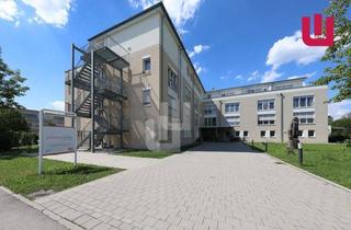 Immobilie mieten in 82216 Maisach, WINDISCH - Moderne 2-Zi.-Wohnung im betreuten Wohnen in Maisach ab 60 Jahre - sofort bezugsfrei!