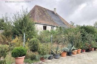 Haus kaufen in 92353 Postbauer-Heng, Ehemaliges Mühlengebäude mit Denkmalschutz