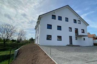 Wohnung mieten in Obere Fährgasse 14, 63868 Großwallstadt, Exklusive 4-Zimmer-Wohnung mit großer Terrasse