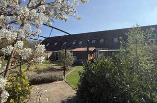 Reihenhaus kaufen in 29451 Dannenberg, Schickes Reihenhaus mit modernster Wärmepumpen-Heizung und zauberhaftem Garten