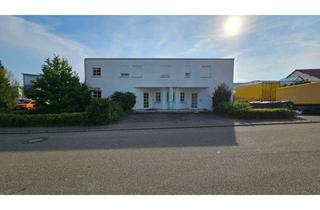 Gewerbeimmobilie kaufen in 71296 Heimsheim, Gewerbehalle mit separatem Büro