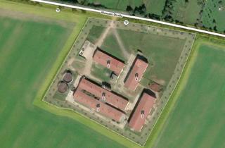 Immobilie mieten in Klossaer Straße 48, 06917 Jessen, 4.600 m² Rinder-/Schweinezuchtanlage auf 23.500 m² Grundstück Schweinestall Pferdestall Kuhstall