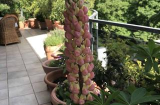 Penthouse kaufen in 61440 Oberursel, Penthouse, Top-Lage in der Natur, Nähe Maasgrund, sehr gute Anbindung an Frankfurt und Flughafen