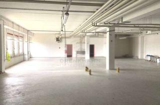 Geschäftslokal mieten in 18059 Ziesendorf, Lager- und Büro südlich von Rostock, ca. 500 m² Halle inkl. Büro, verkehrsgünstig an der A20