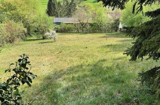 Haus kaufen in 63924 Rüdenau, 1100 qm Grundstück mit Wochenendhaus in Hanglage am Waldrand mit wundervollem Blick auf den Garten