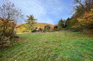 Grundstück zu kaufen in Am Meiernberge, 31868 Ottenstein, Baugrundstück im Glessetal - 1.666 m²