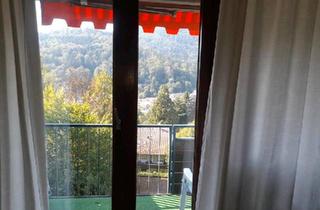 Wohnung kaufen in 76332 Bad Herrenalb, Bad Herrenalb - Appartement Bad Herrenalb