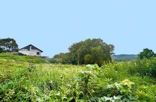 Grundstück zu kaufen in 77933 Lahr, Achtung ! Zwei Idyllische Grundstücke für eine Doppelhaushälfte mit Blick ins Rheintal