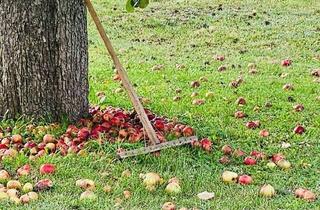 Haus kaufen in 17322 Glasow, Historischer Landsitz für Liebhaber des Besonderen als Zweitwohnsitz oder Hauptwohnsitz