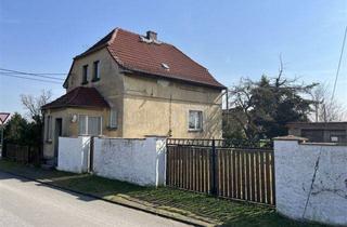 Einfamilienhaus kaufen in 04886 Rosenfeld, Einfamilienhaus mit Hof und Nebengelass