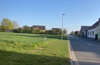 Reihenhaus kaufen in Domerslebener Straße 10, 39164 Klein Rodensleben, Investoren aufgepasst- Potenzial hoch drei (oder vier!): Reihenhausprojekt mit Haus-Extra !