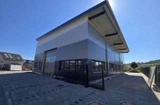 Büro zu mieten in 63839 Kleinwallstadt, Moderne Gewerbe- und Fertigungshalle mit Bürofläche zu vermieten
