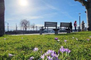 Gewerbeimmobilie mieten in 88085 Langenargen, Business-Location-Bodensee Langenargen mit PentHouse