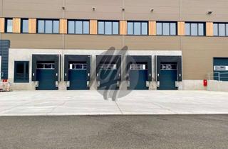 Büro zu mieten in 33189 Schlangen, NEUBAU / ERSTBEZUG ✓ RAMPE + EBEN ✓ Lager-/Logistik (5.000 m²) & Büro-/Mezzanine (500 m²)