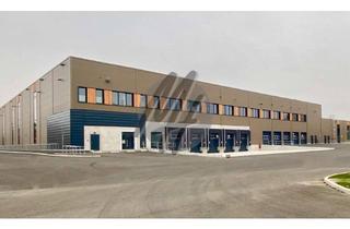 Büro zu mieten in 33189 Schlangen, NEUBAU / ERSTBEZUG ✓ RAMPE + EBEN ✓ Lager-/Logistik (15.000 m²) & Büro-/Mezzanine (1.500 m²)