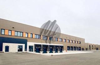 Büro zu mieten in 33189 Schlangen, NEUBAU / ERSTBEZUG ✓ RAMPE + EBEN ✓ Lager-/Logistik (10.000 m²) & Büro-/Mezzanine (1.000 m²)