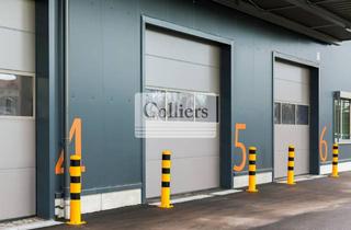 Gewerbeimmobilie mieten in 97769 Bad Brückenau, Logistikhalle nahe der A7 | 8.000 m², teilbar | Rampen + ebenerdige Tore