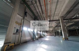 Gewerbeimmobilie mieten in 36148 Kalbach, Logistikhalle nahe der A7 | 8.000 m², teilbar | Rampen + ebenerdige Tore