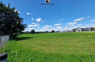 Grundstück zu kaufen in 88348 Bad Saulgau, Rarität, Baugrundstück für Gewerbe und Industrie, 9.500 m², sofort verfügbar